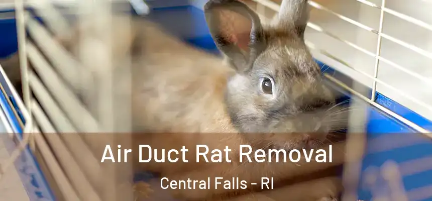  Air Duct Rat Removal Central Falls - RI