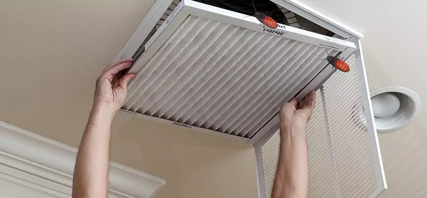 Preventive Cockroach-Proofing for Ducts in Central Falls