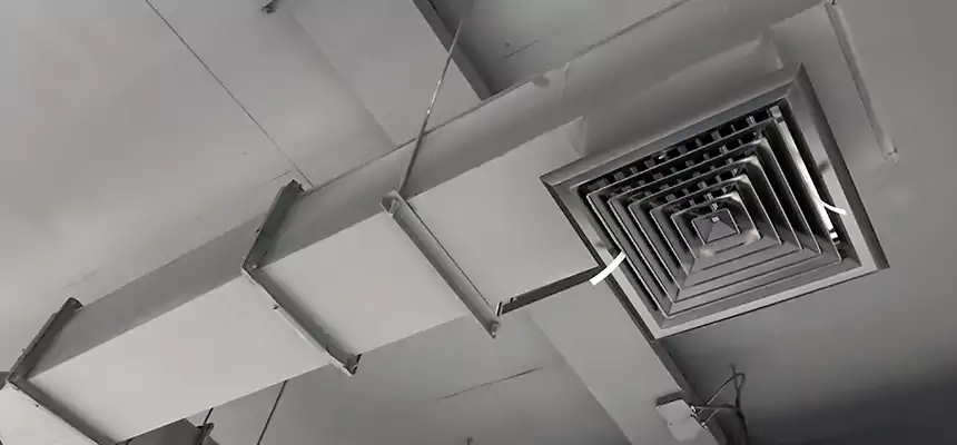 Our Rodent Droppings In Vents Services in Central Falls, RI