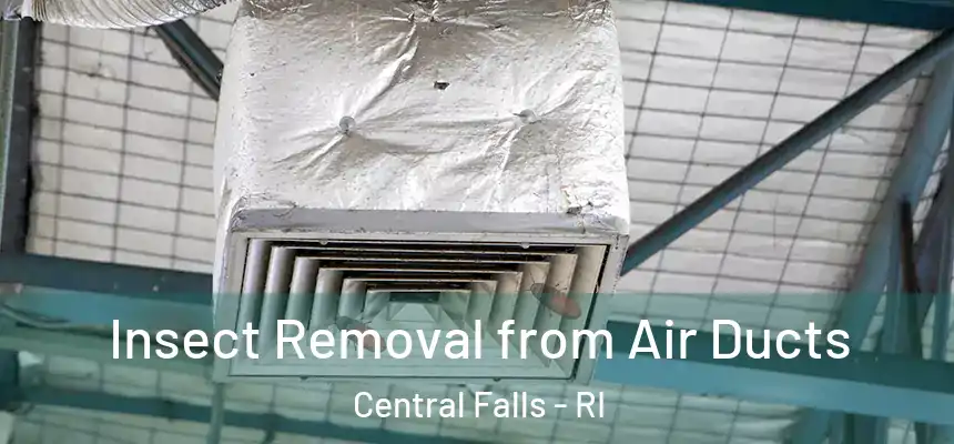  Insect Removal from Air Ducts Central Falls - RI